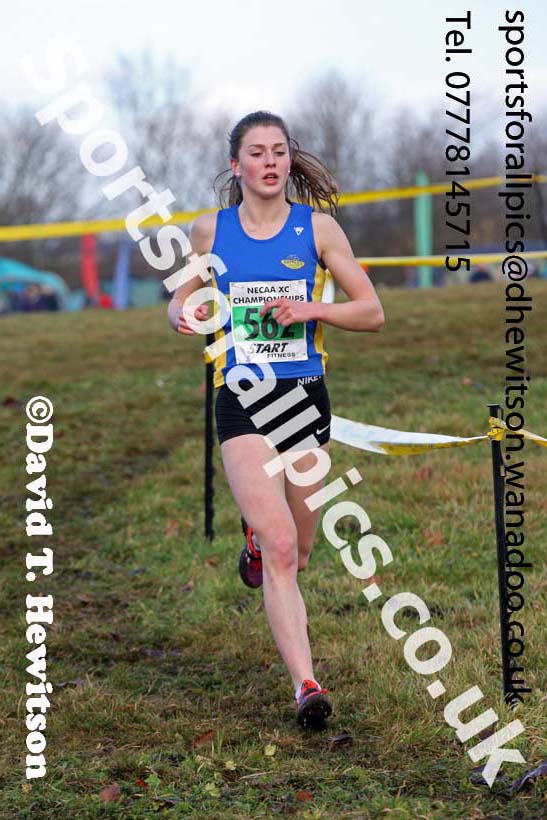Womens under-17s and 20s North Eastern Cross Country, Aykley Heads, Durham. Photo: David T. Hewitson/Sports for All Pics